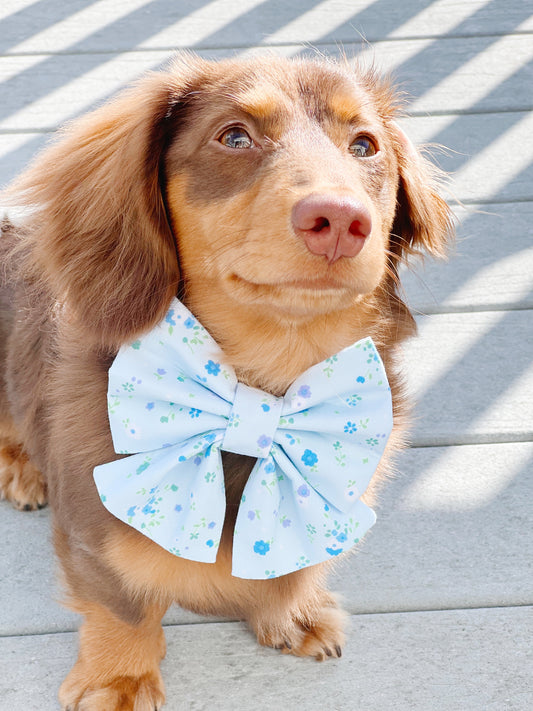 Forget-Me-Not Bowtie