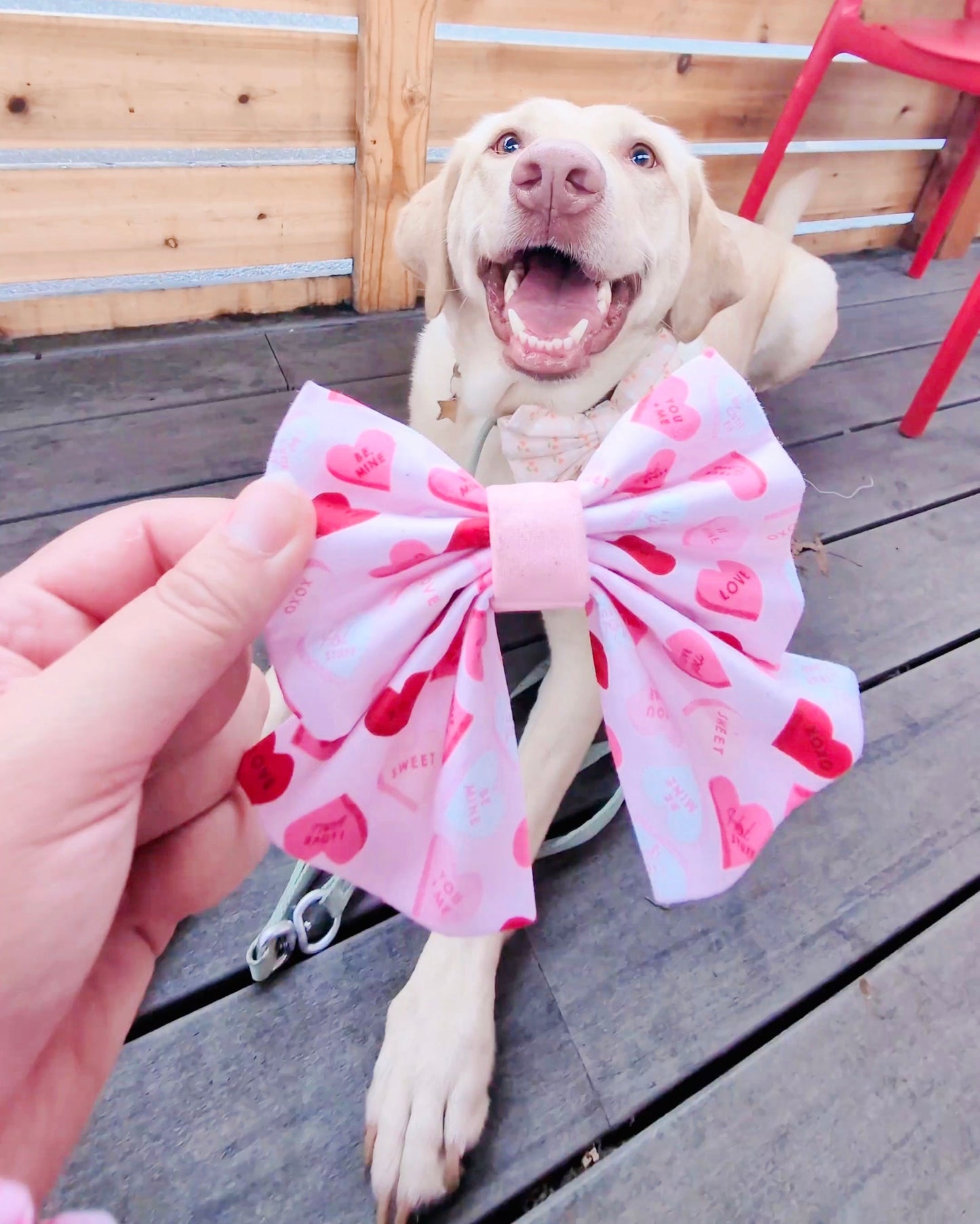 Pawlentine Box