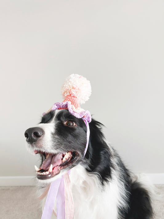 Pink & Purple Pawty Hat