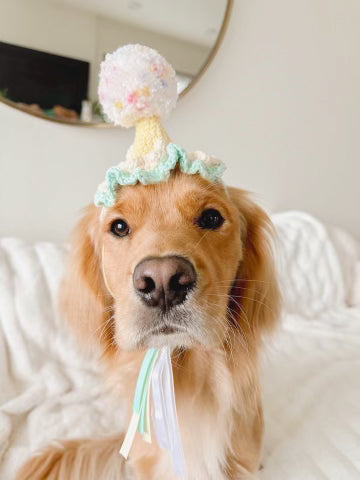 Yellow & Teal Pawty Hat