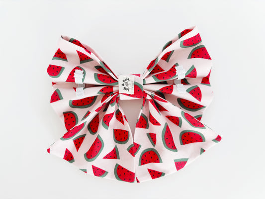 Watermelon Bowtie