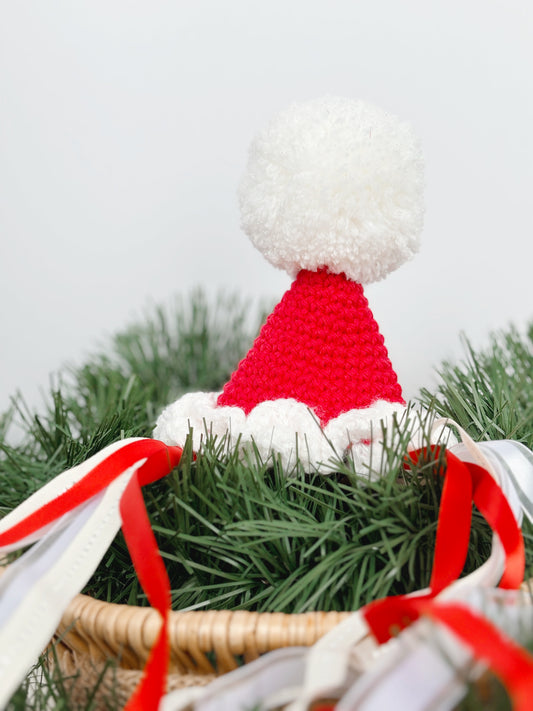 Santa Pawty Hat