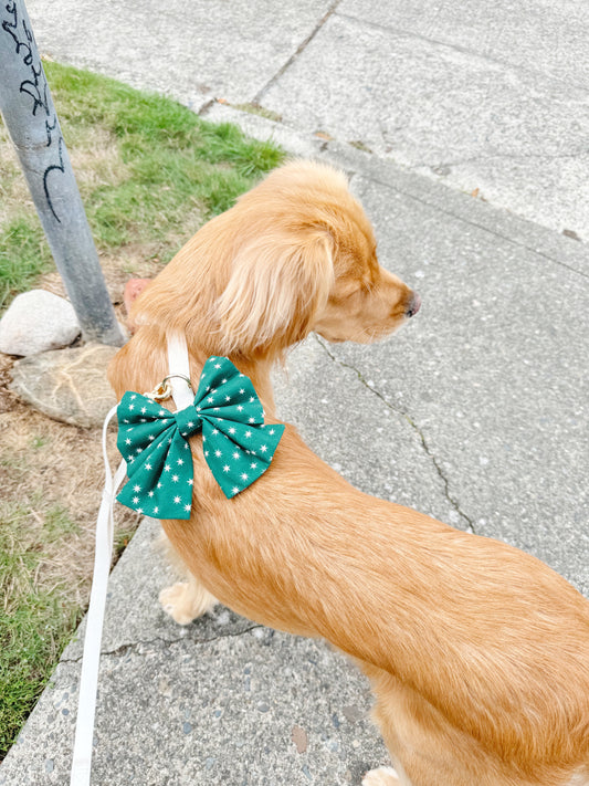 Stella Bowtie