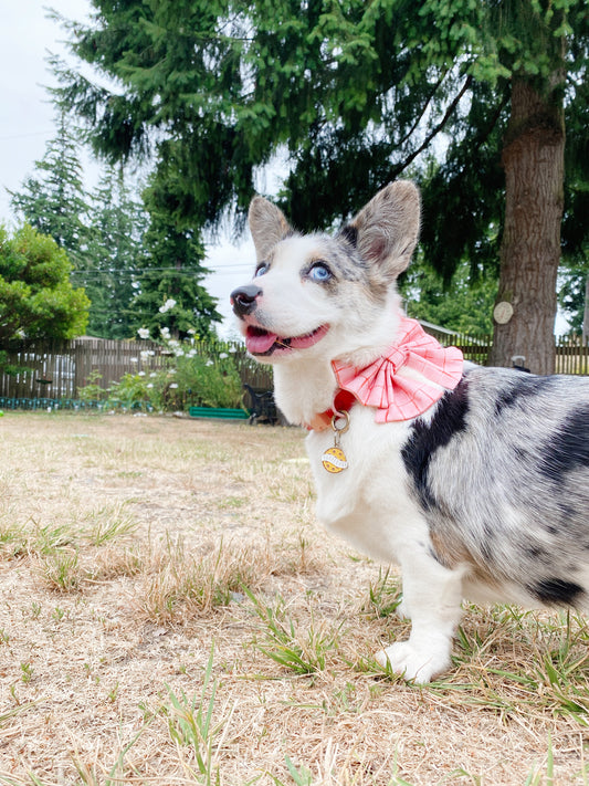 Red Stripes Bowtie