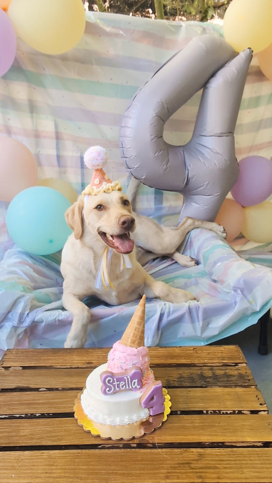 Pink & Yellow Pawty Hat