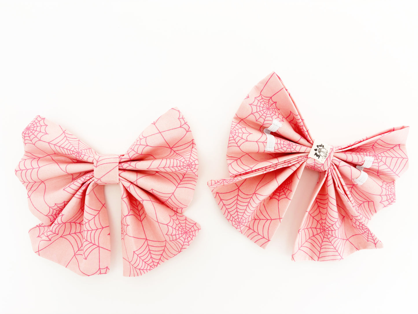 Charlotte Bowtie