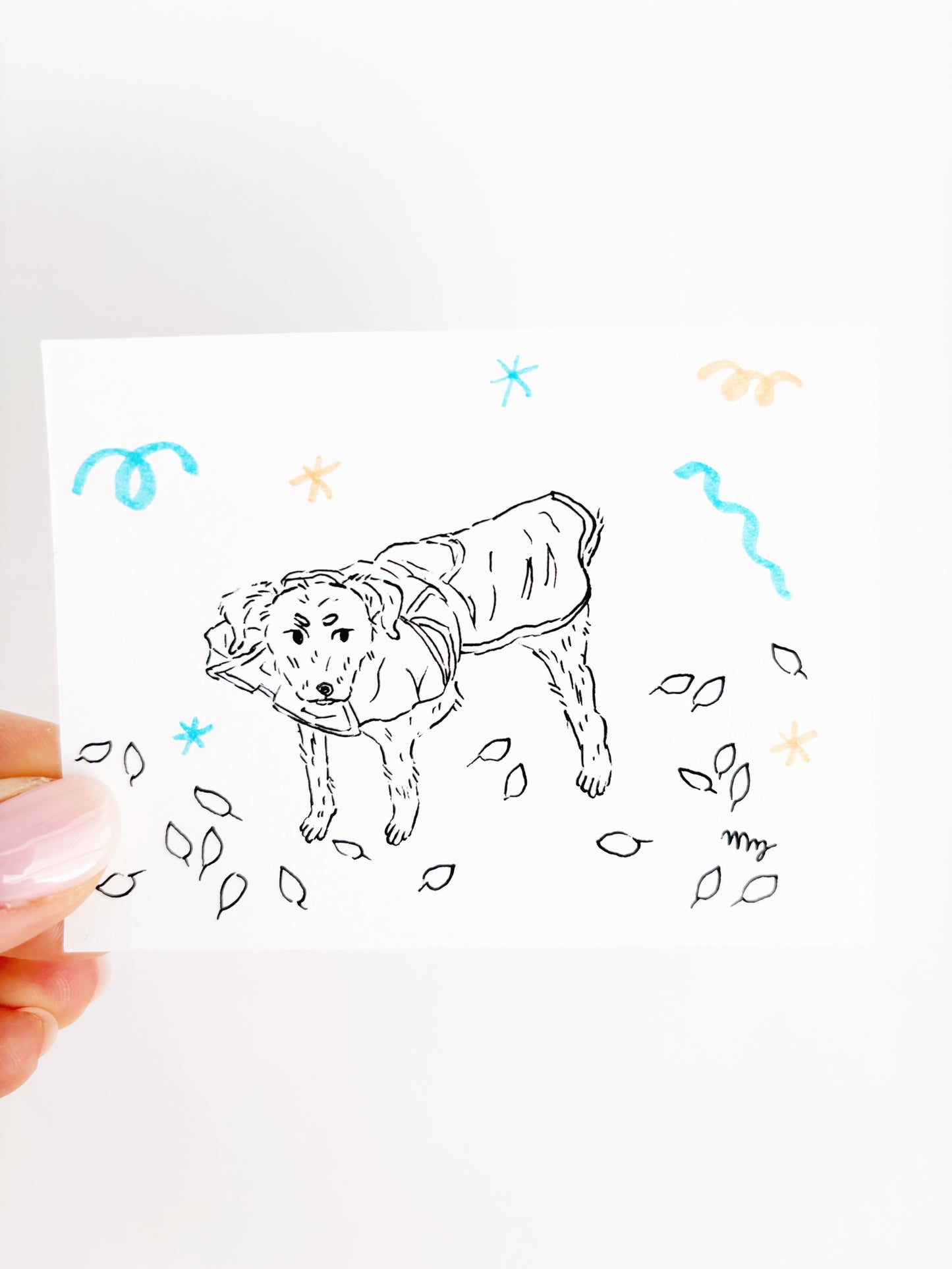 Dog Portraits