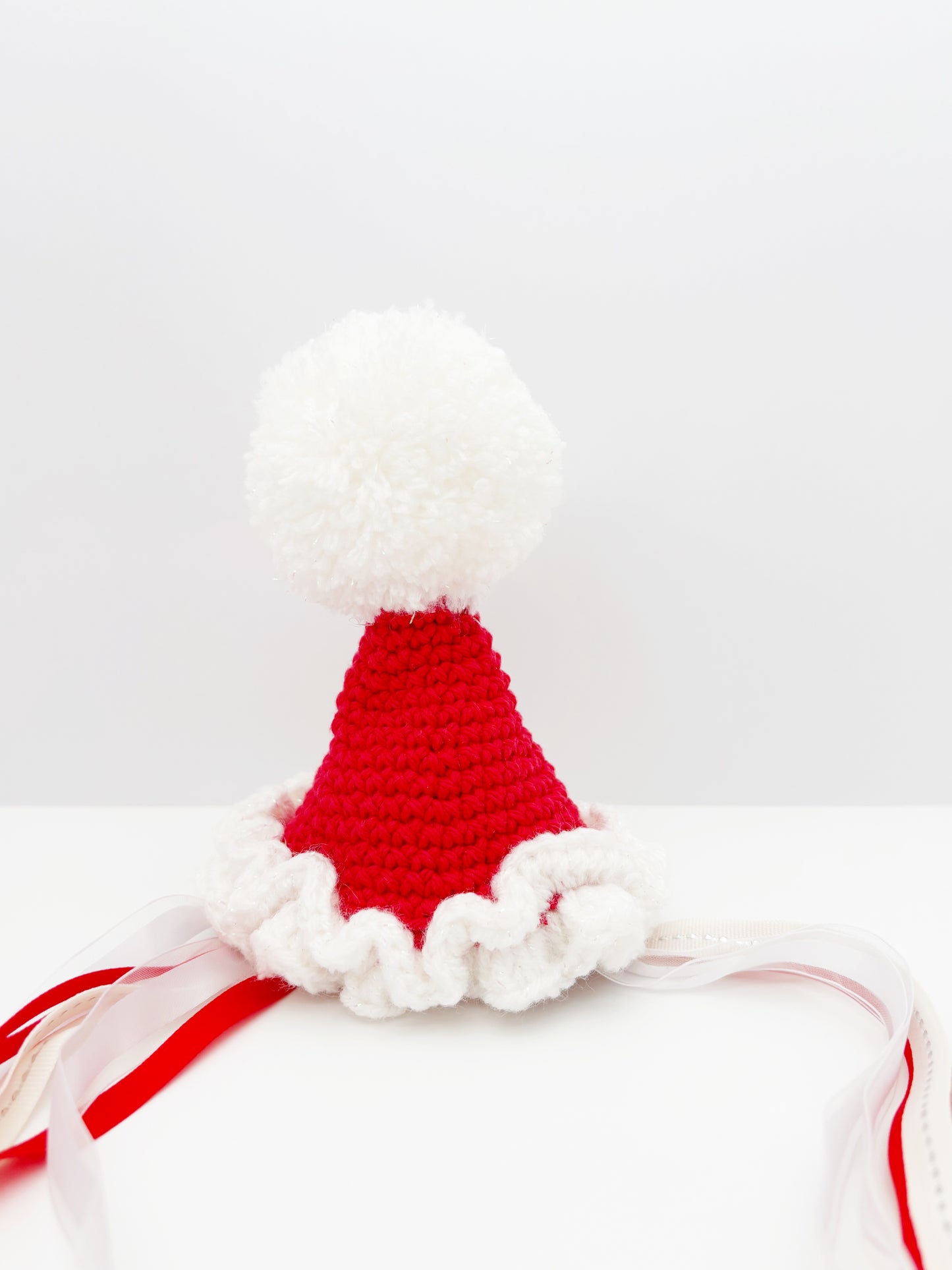 Santa Pawty Hat
