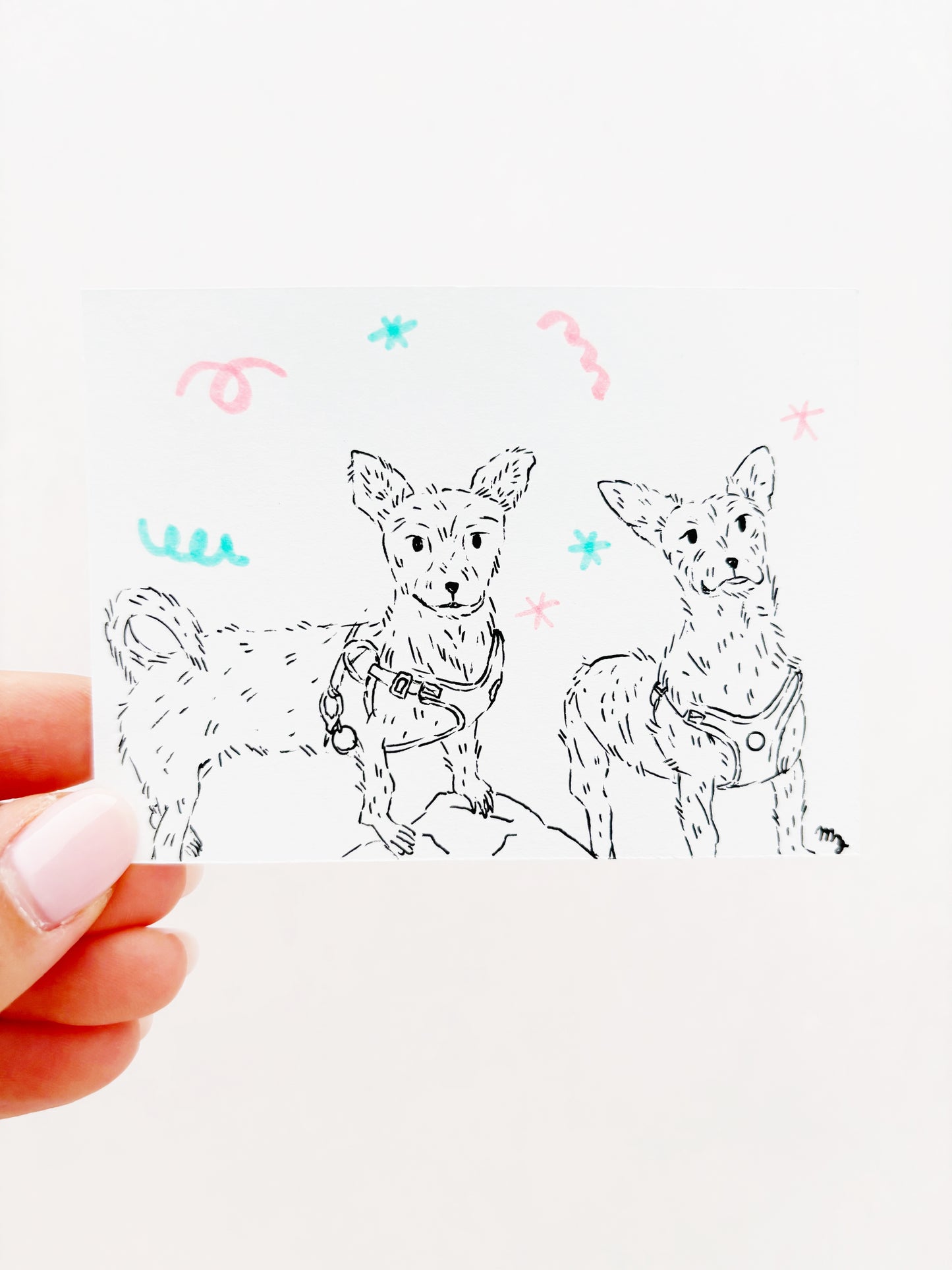 Dog Portraits