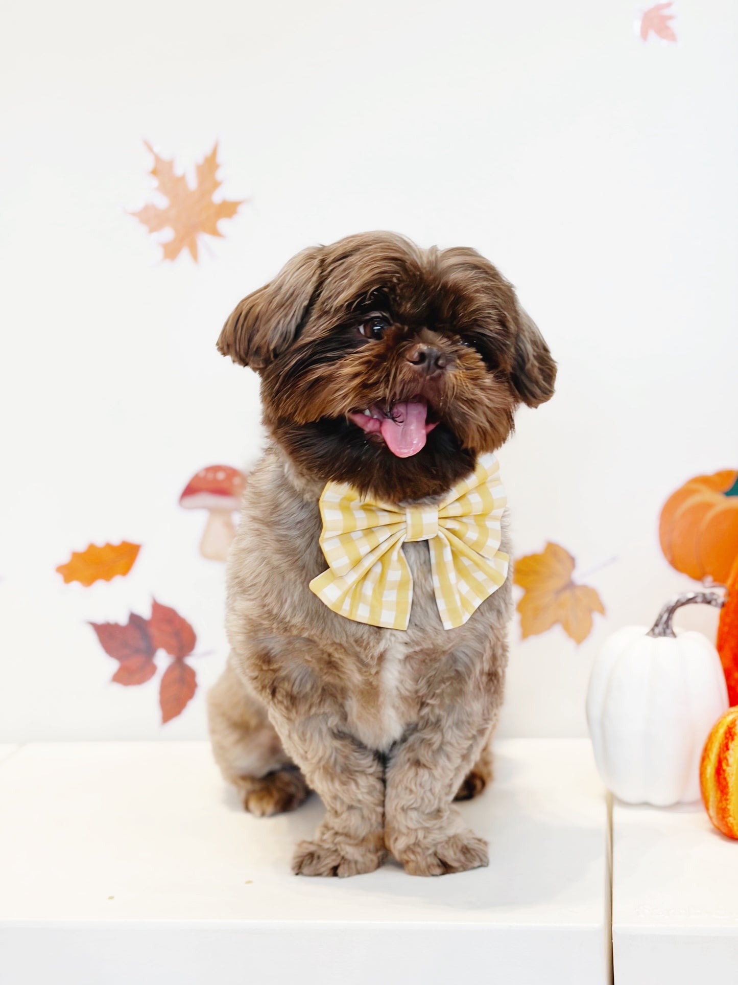 Pumpkin Pie Bowtie