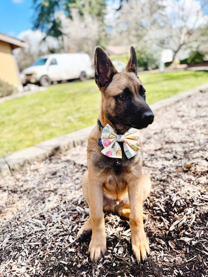 Donuts Bowtie
