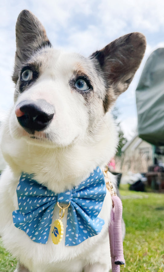 Dew Drop Bowtie