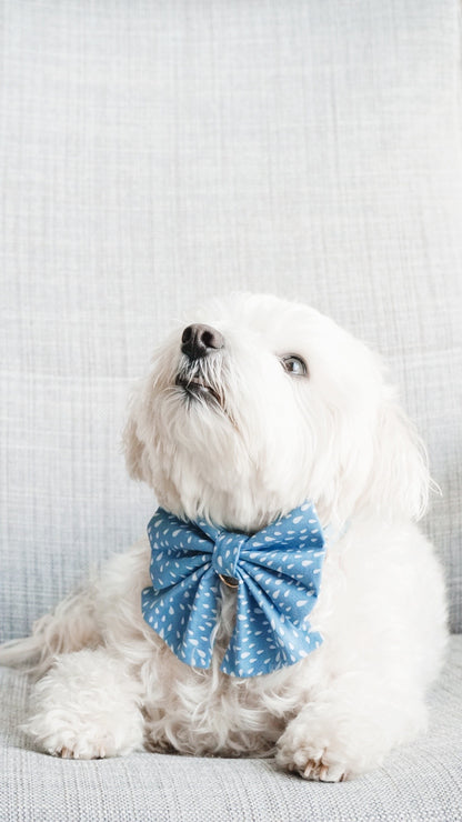 Dew Drop Bowtie