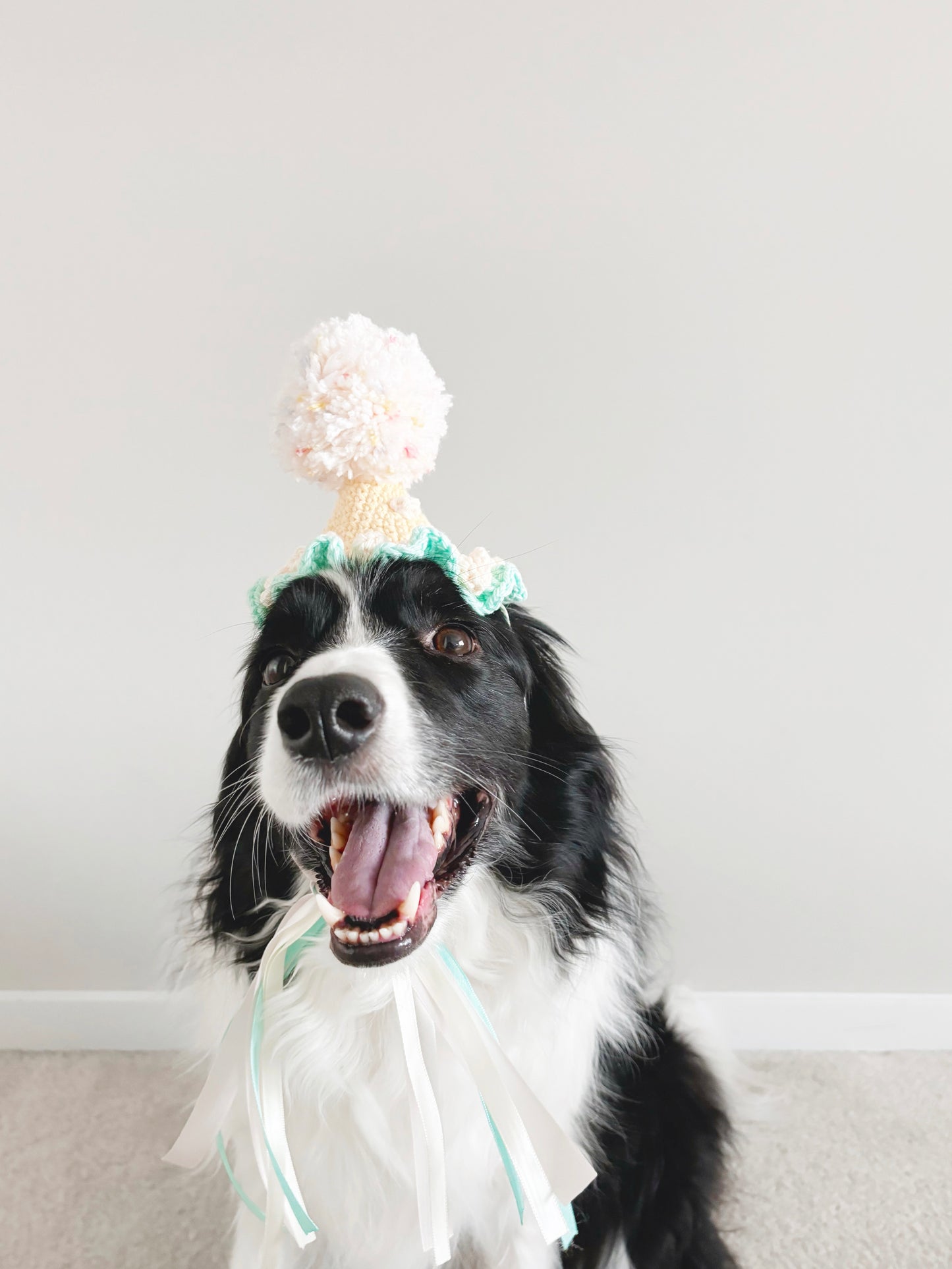 Yellow & Teal Pawty Hat
