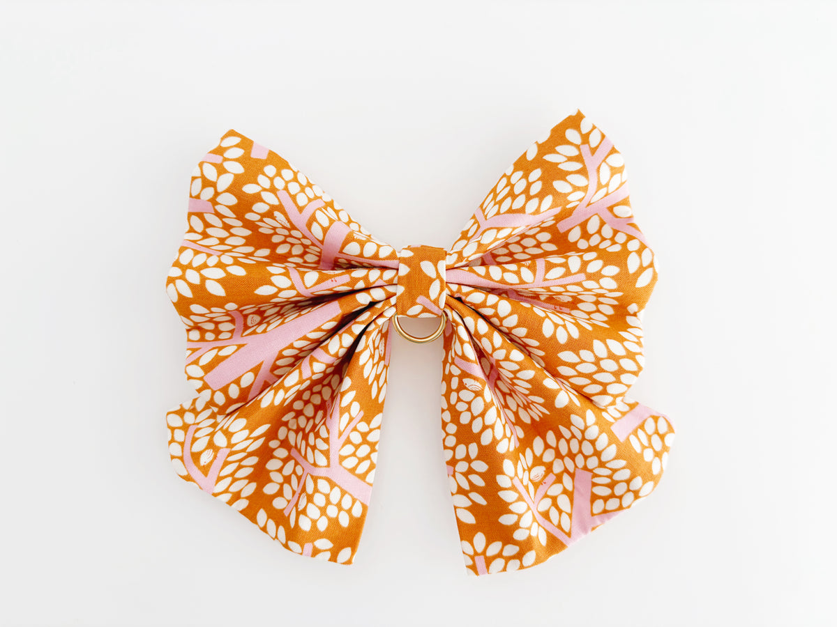 Wren Bowtie