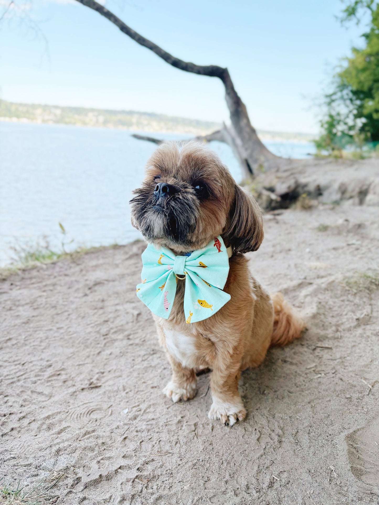 Mint Koi Bowtie