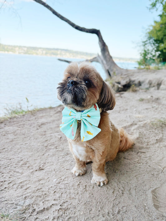 Mint Koi Bowtie
