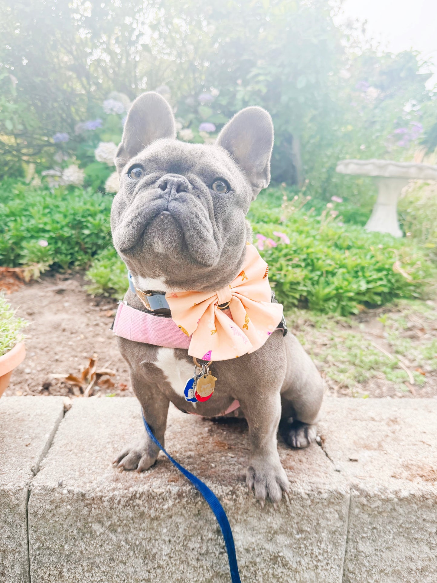 Pink Koi Bowtie