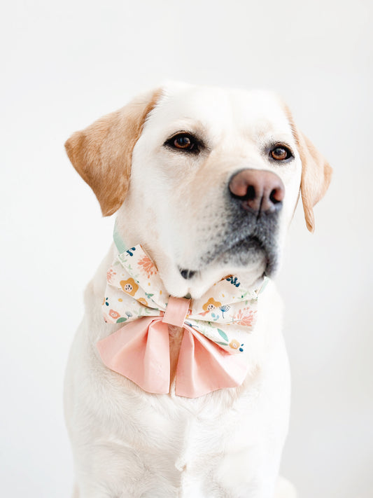 Dahlia Bowtie