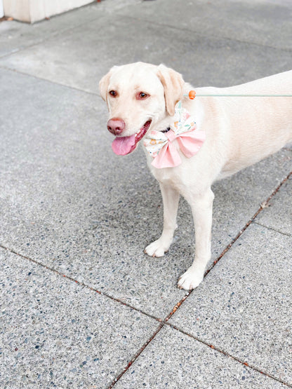 Dahlia Bowtie