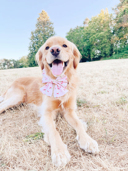 Cherry Bowtie
