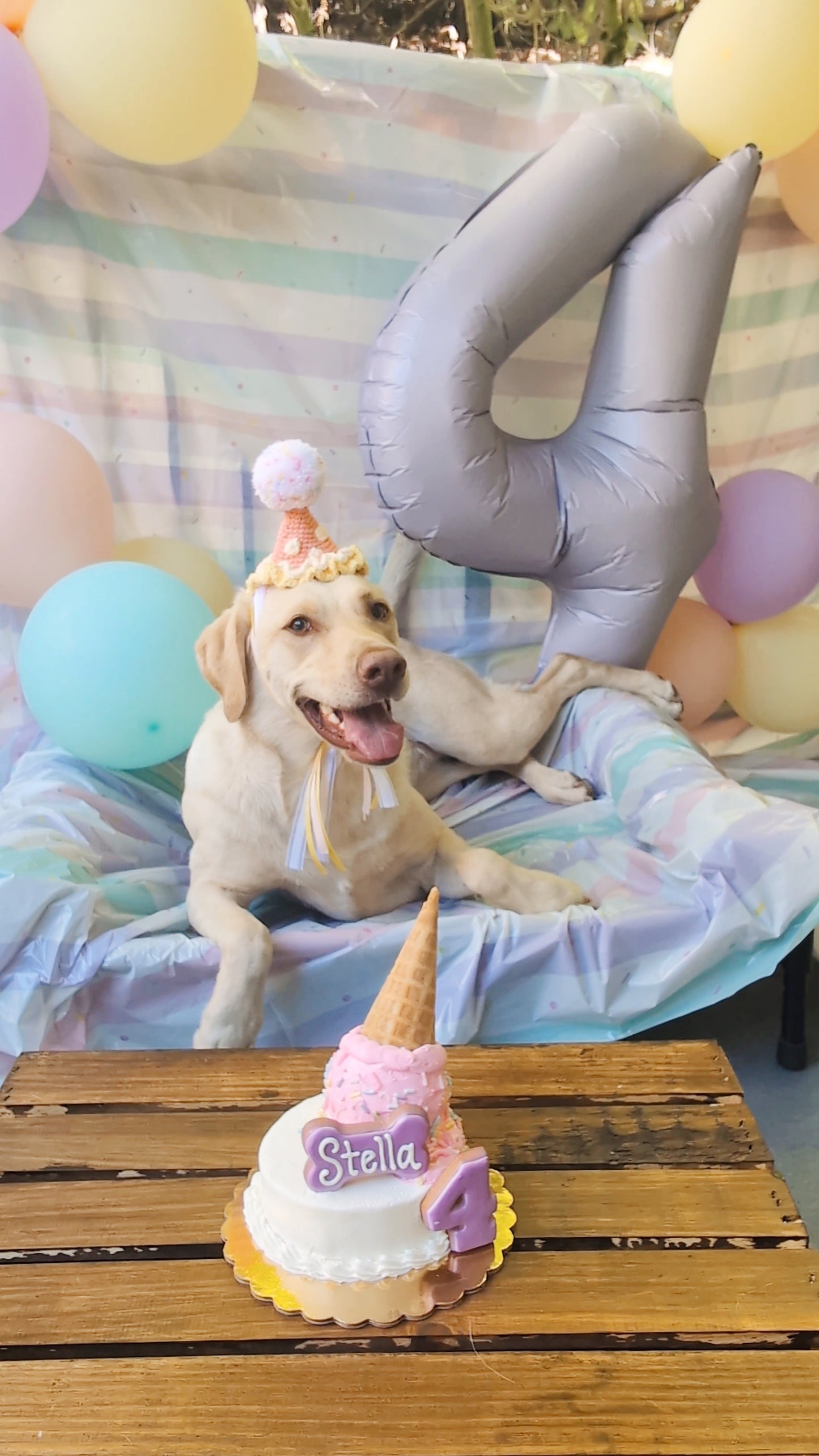 Pink & Yellow Pawty Hat