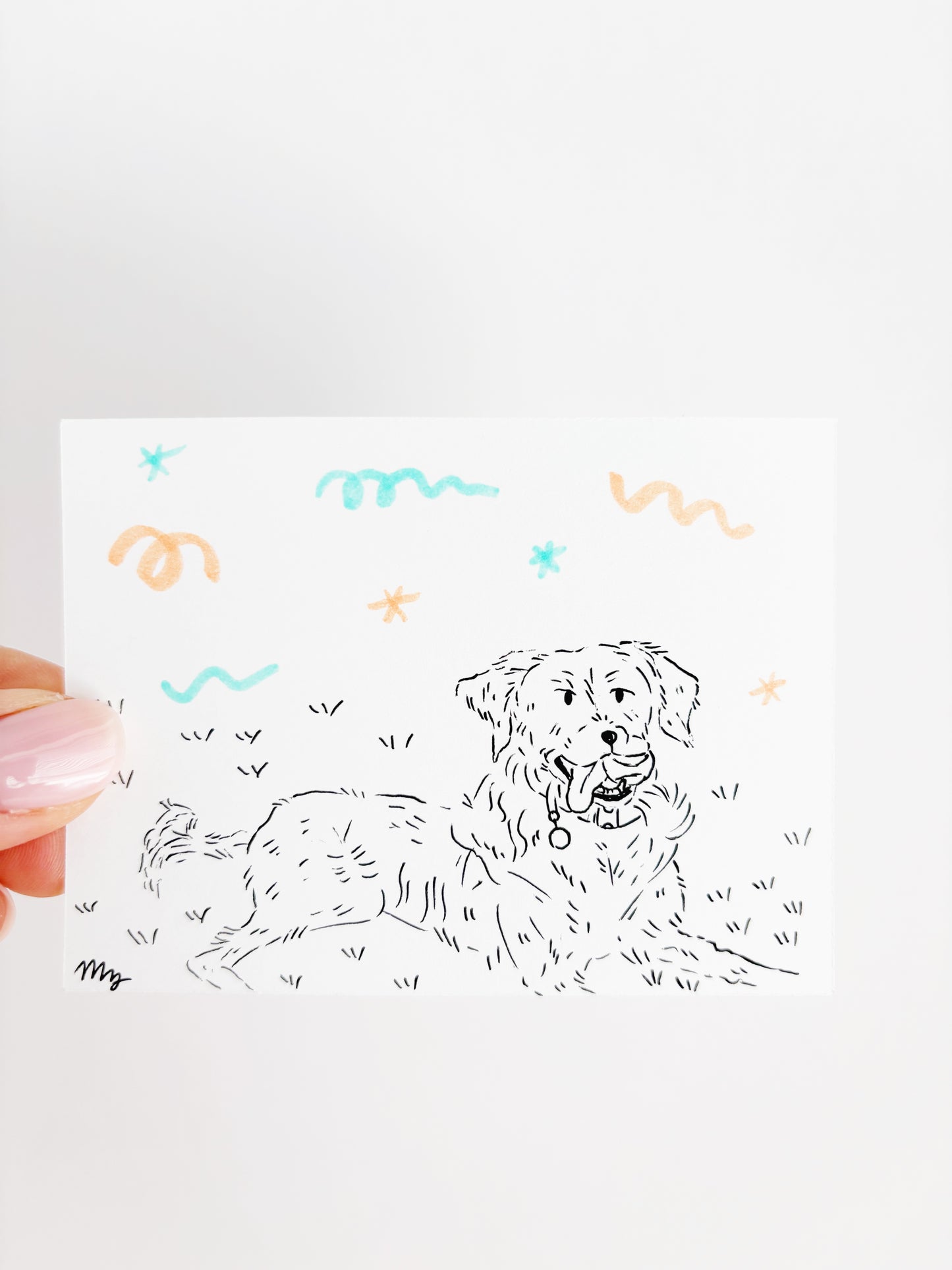 Dog Portraits