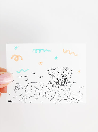 Dog Portraits