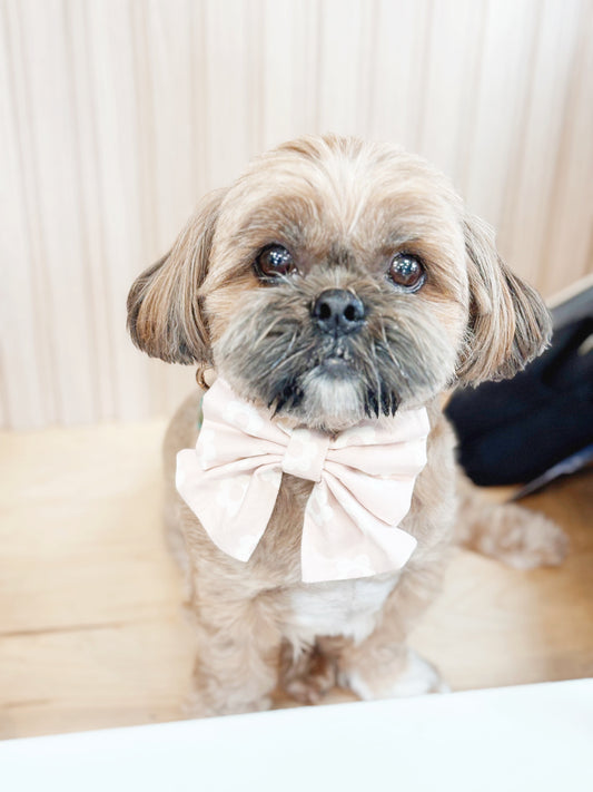 Fleur Bowtie