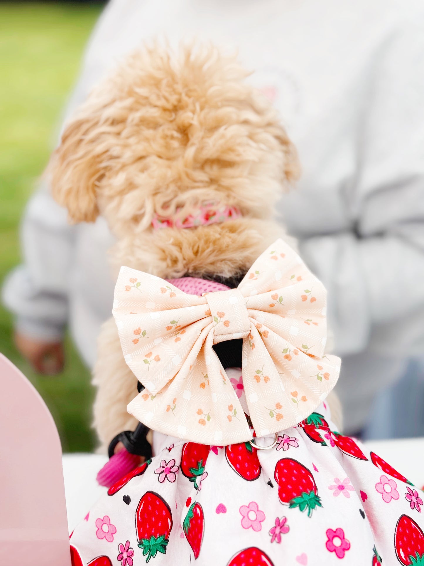 Pink Tulips Bowtie