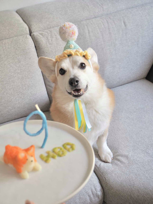 Teal & Yellow Pawty Hat
