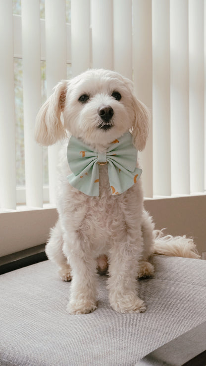 Banana Bowtie