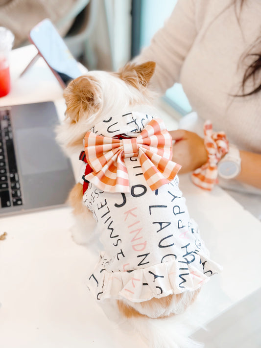 Cranberry Sauce Bowtie