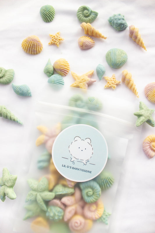 Seashell Dog Treats