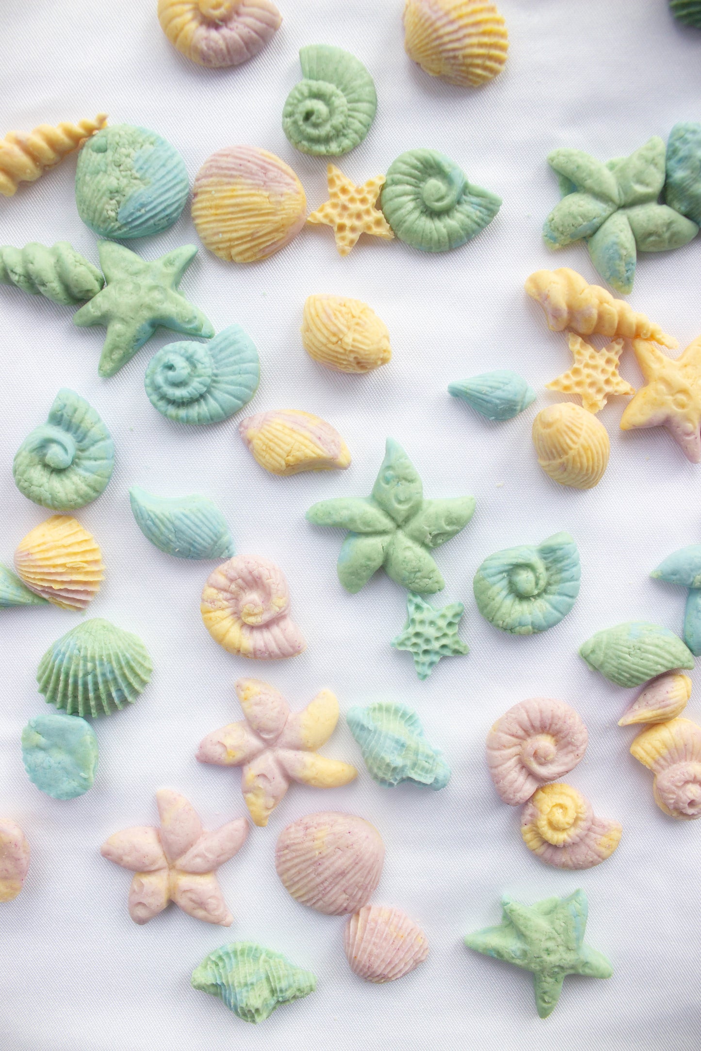 Seashell Dog Treats