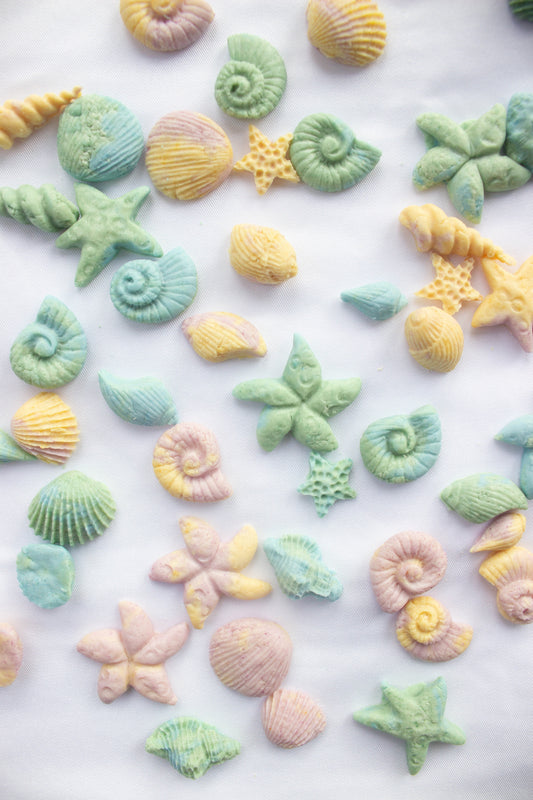 Seashell Dog Treats
